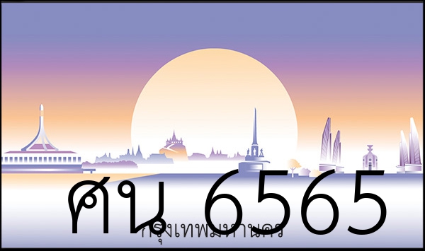 ศน 6565